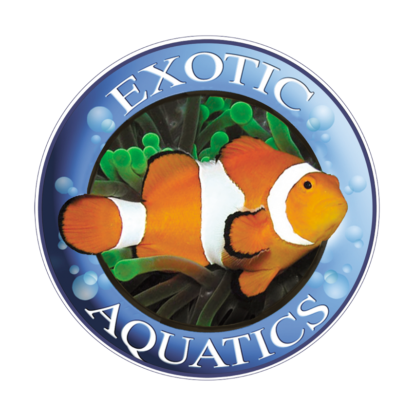 Exotic Aquatics