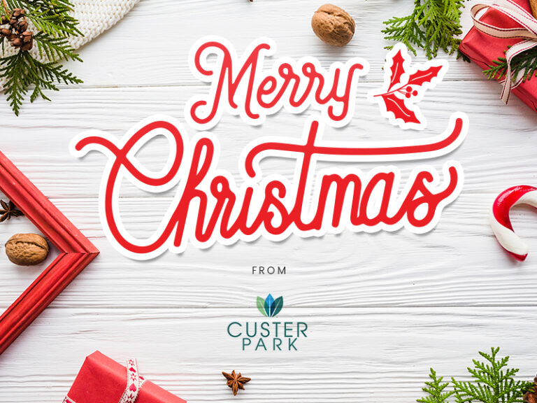 Gifts that Make the Season Bright are at Custer Park Shopping Center!